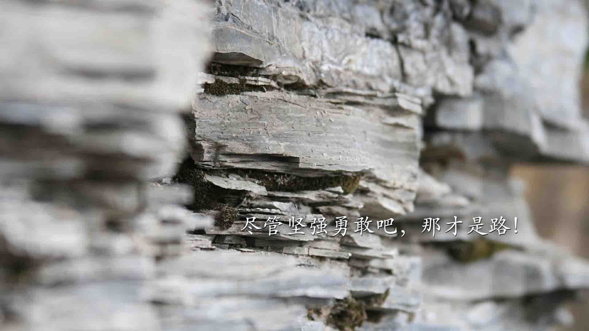 “篮球文化+旅游”深度融合,助力地方特色经济发展,篮球馆文化打造