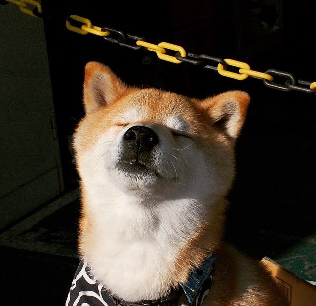 全国青少年田径锦标赛，运动员展现超强实力，2020全国青少年田径