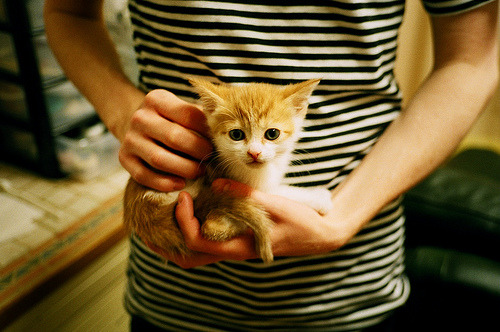 kaiyun官方入口登录-影响力赛事：多家媒体同步报道，影响力 媒体