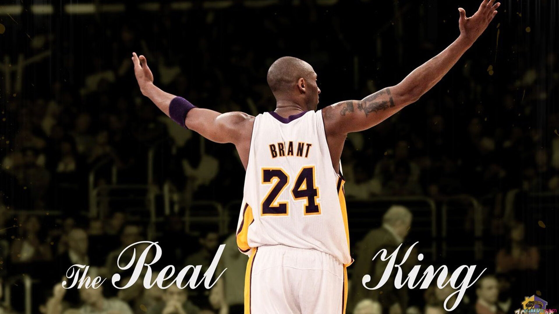 开云体育官方网站-球员风采纪录片首播，背后故事感人至深，篮球人物球星纪录片合集